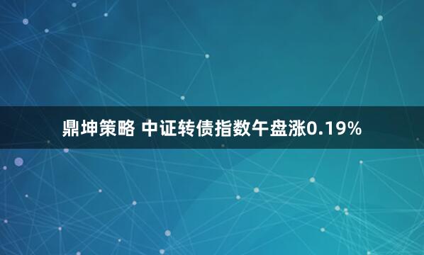鼎坤策略 中证转债指数午盘涨0.19%