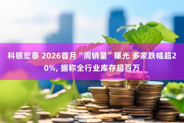 科银宏泰 2026首月“周销量”曝光 多家跌幅超20%, 据称全行业库存超百万