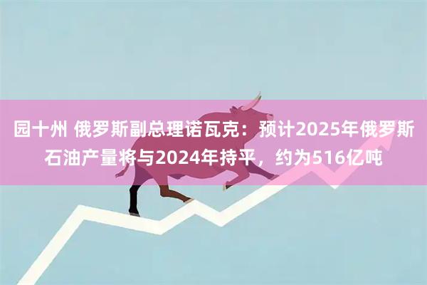 园十州 俄罗斯副总理诺瓦克：预计2025年俄罗斯石油产量将与2024年持平，约为516亿吨